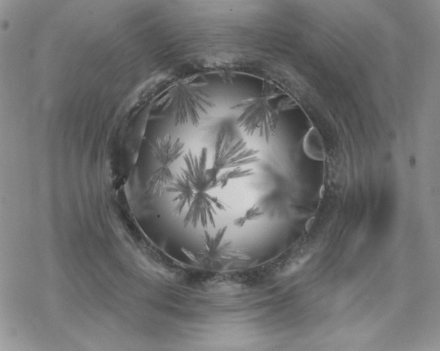 X0000070240648200606051126