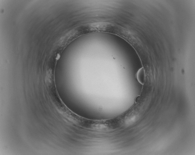 X0000070240649200606051126