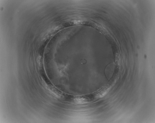 X0000070240650200606051126