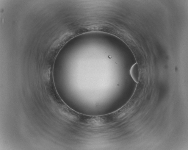 X0000070240652200606051126