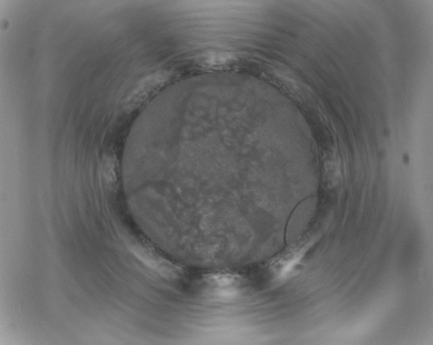 X0000070240654200606051126