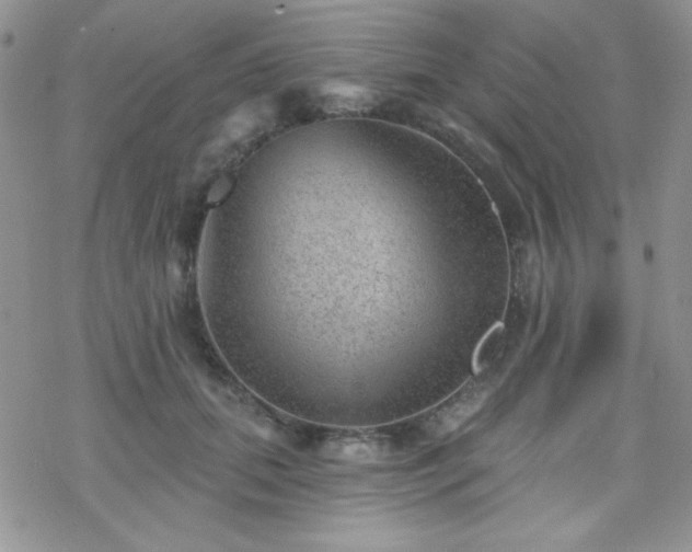 X0000070240655200606051126