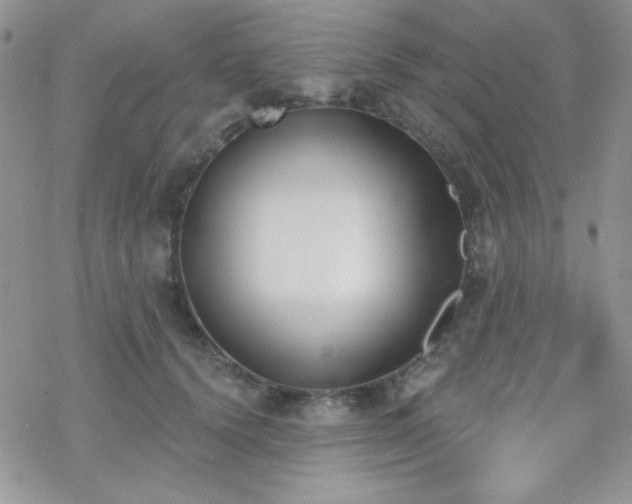 X0000070240656200606051126