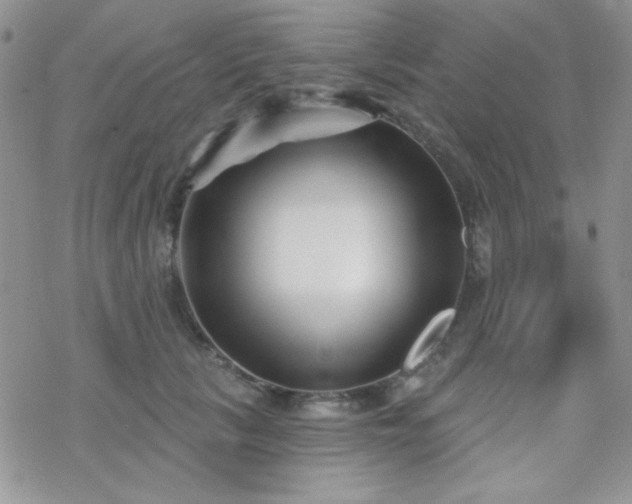 X0000070240657200606051126