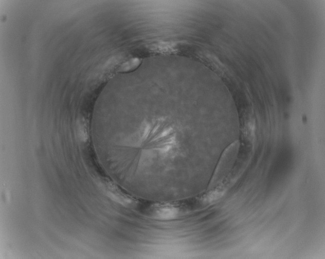 X0000070240658200606051126