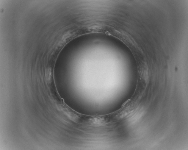 X0000070240660200606051126