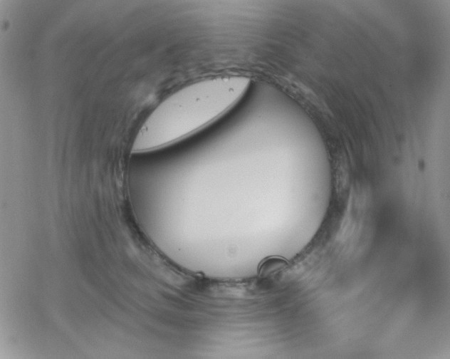 X0000070240661200606051126