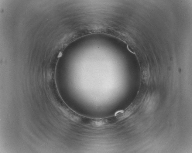 X0000070240662200606051126