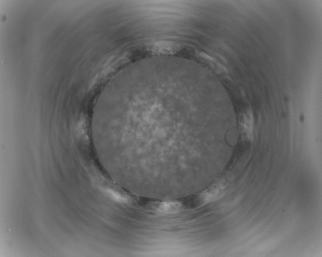 X0000070240663200606051126