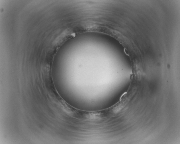 X0000070240664200606051126