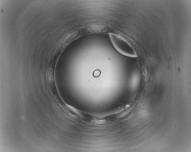 X0000070240665200606051126