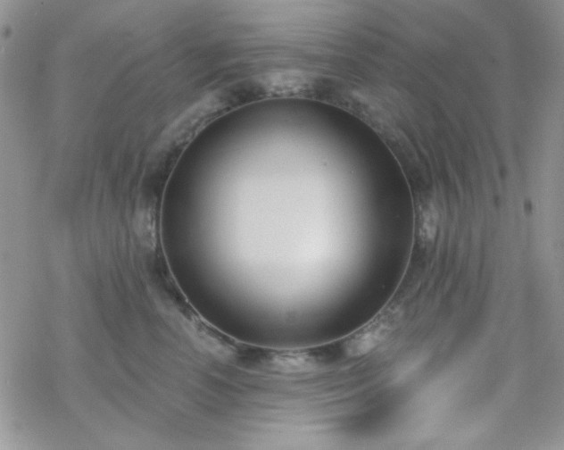 X0000070240666200606051126