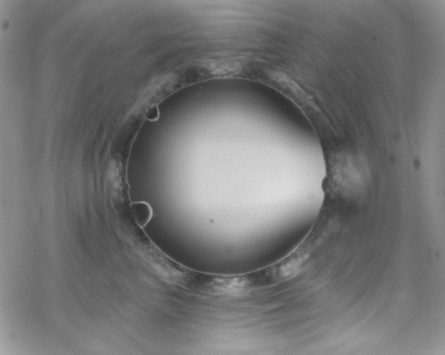 X0000070240667200606051126