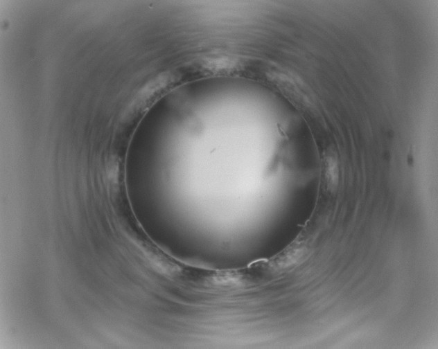 X0000070240668200606051126