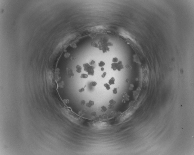 X0000070240669200606051126