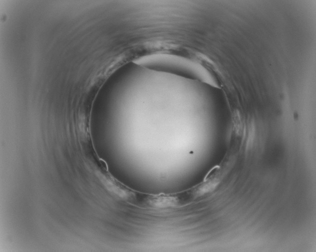 X0000070240670200606051126