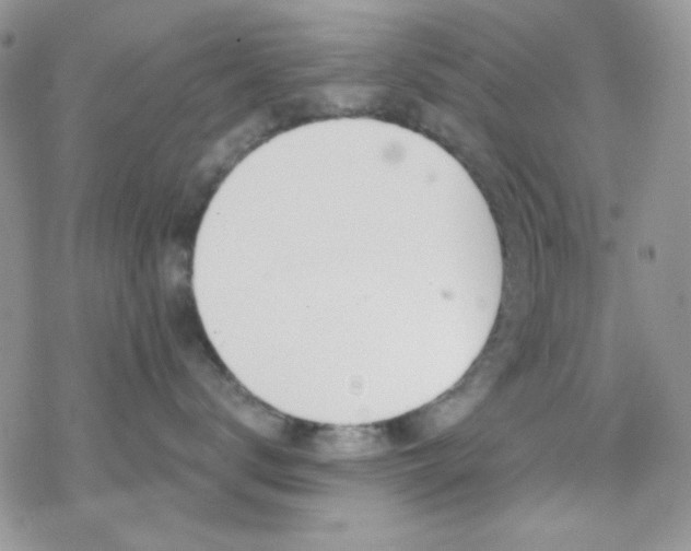 X0000070240672200606051126