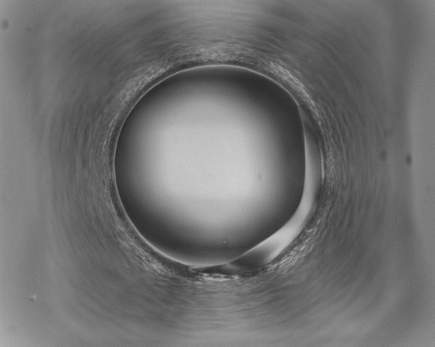 X0000070240673200606051125