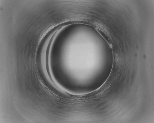 X0000070240676200606051125