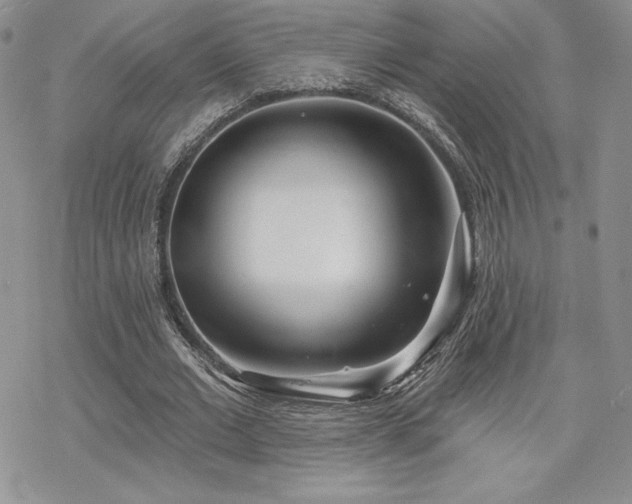 X0000070240677200606051125