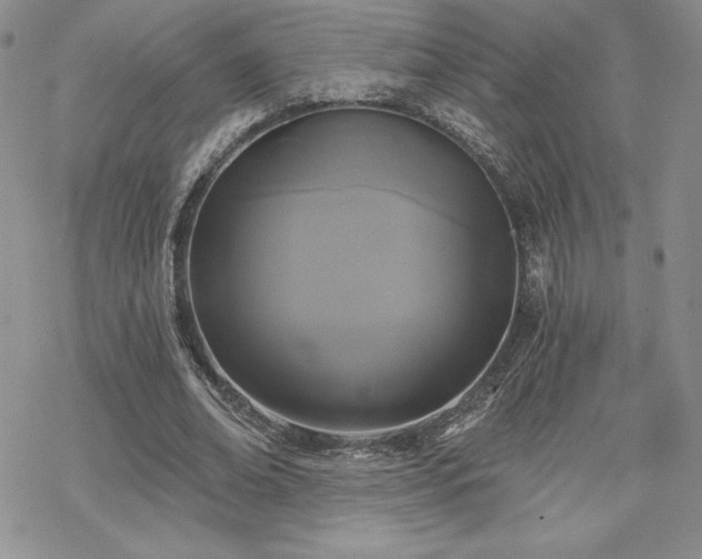 X0000070240678200606051125