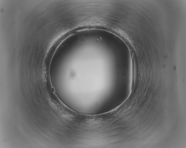 X0000070240680200606051125