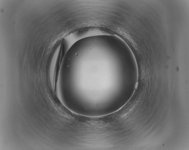 X0000070240681200606051125