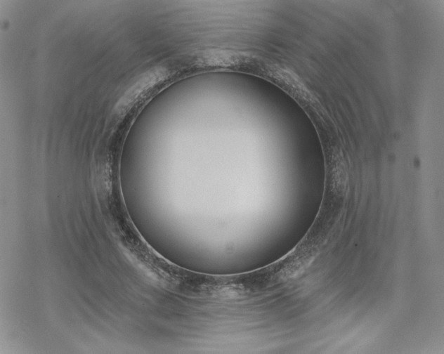 X0000070240683200606051125