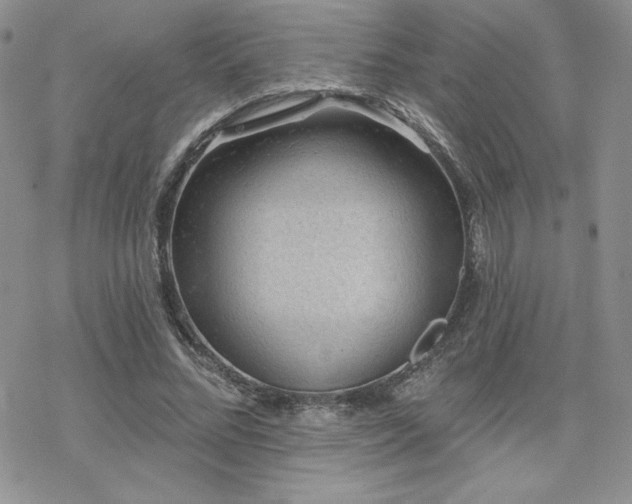 X0000070240684200606051125