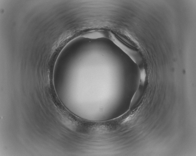 X0000070240685200606051125