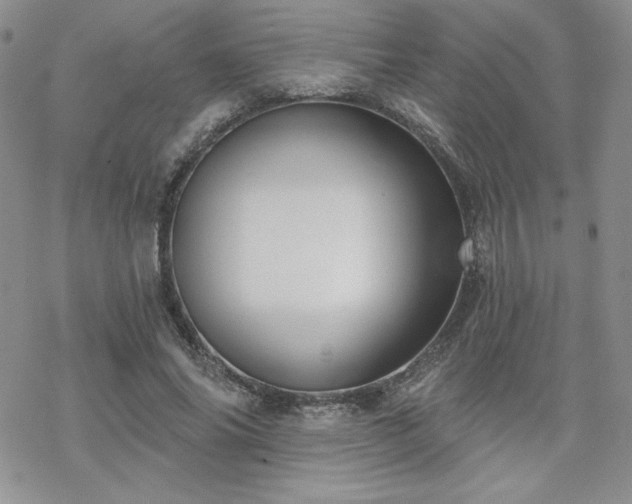 X0000070240686200606051125