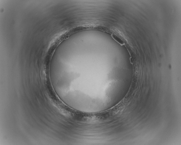 X0000070240688200606051125