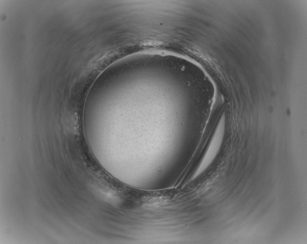 X0000070240689200606051125