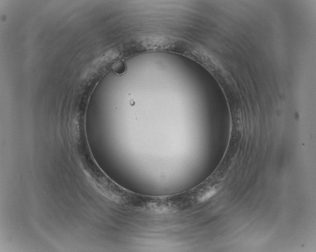 X0000070240690200606051125