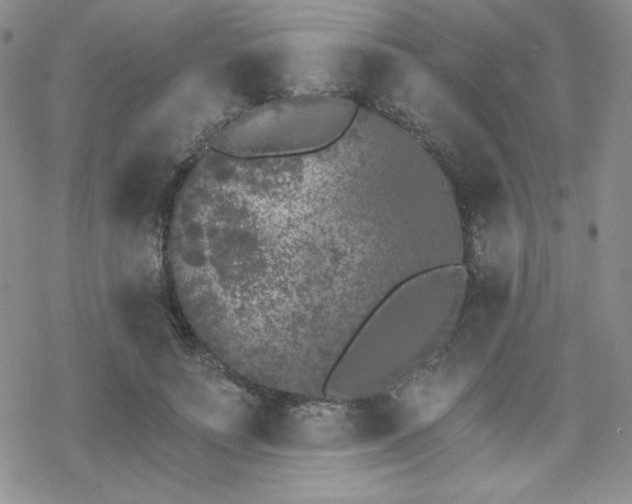 X0000070240691200606051125