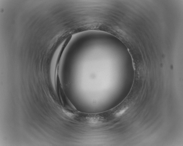 X0000070240693200606051125