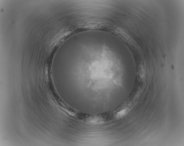 X0000070240696200606051125