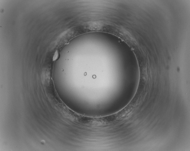 X0000070240697200606051125