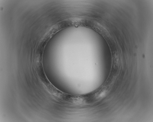 X0000070240698200606051125