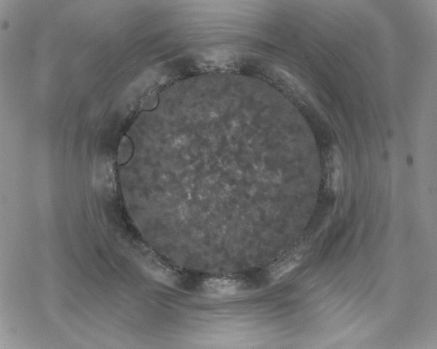 X0000070240699200606051125