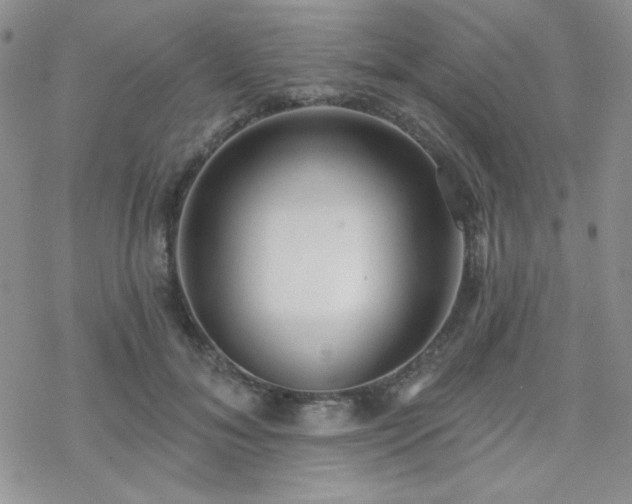 X0000070240700200606051125