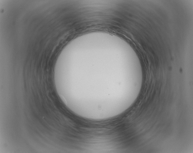 X0000070240701200606051125