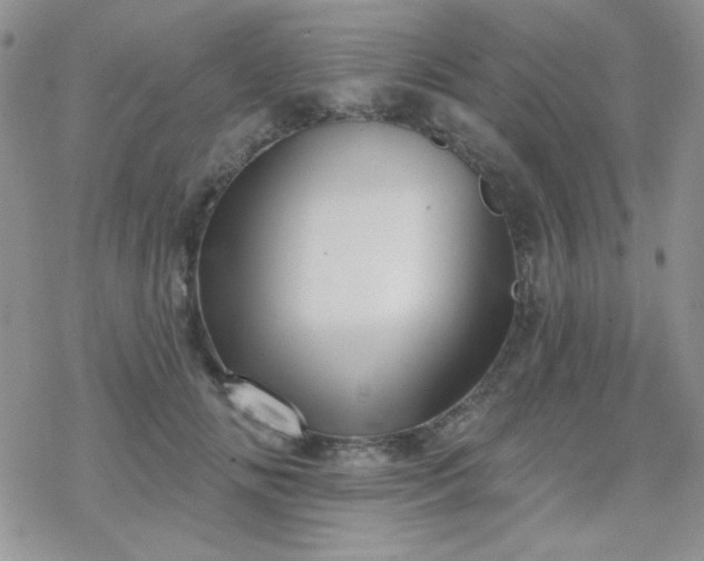 X0000070240702200606051125