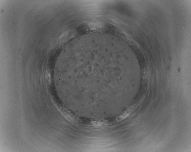 X0000070240703200606051125