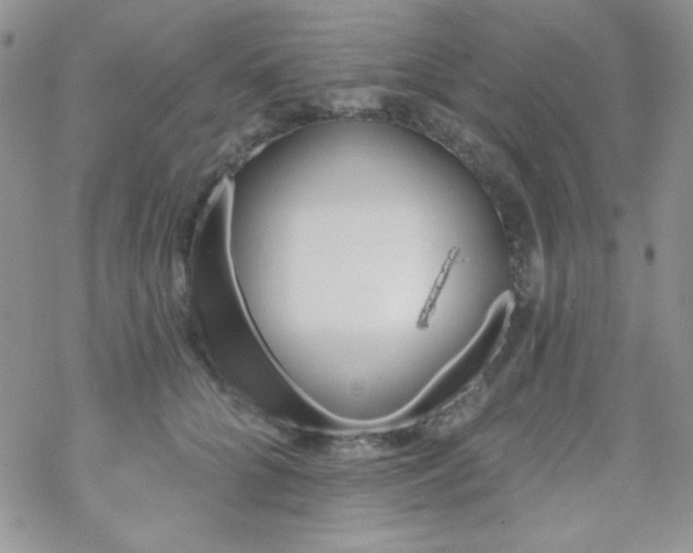 X0000070240704200606051125