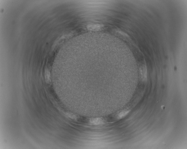 X0000070240705200606051125