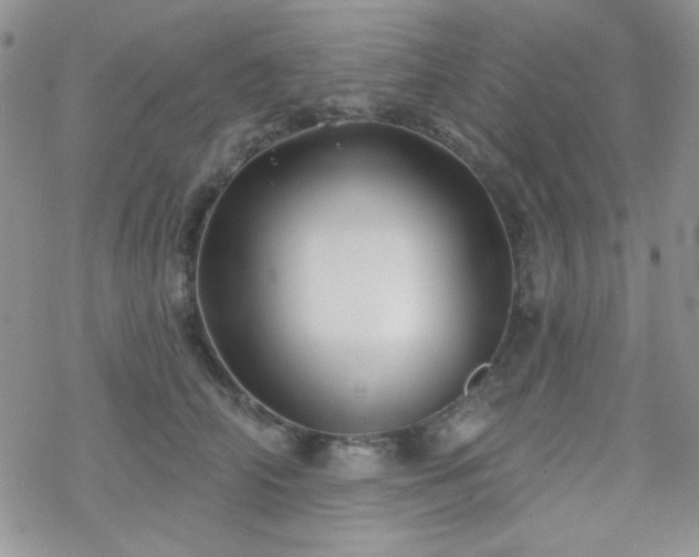 X0000070240706200606051125