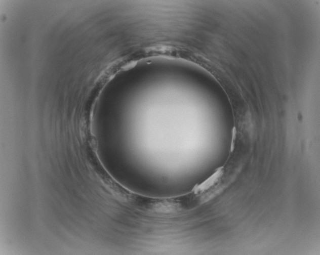 X0000070240708200606051125