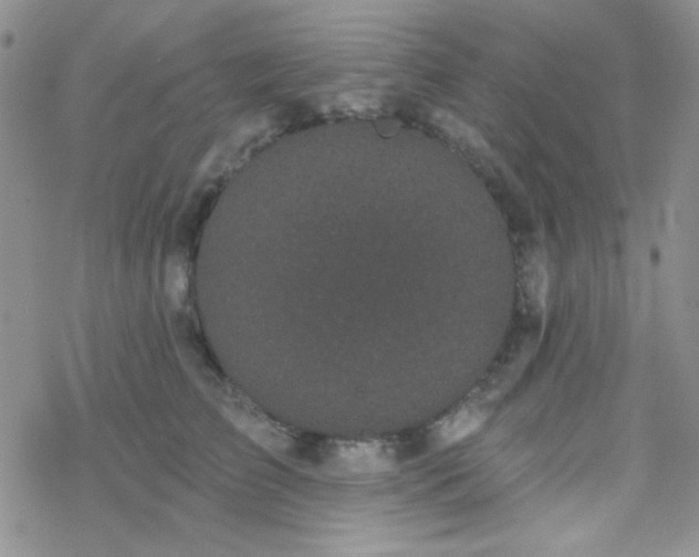 X0000070240709200606051125