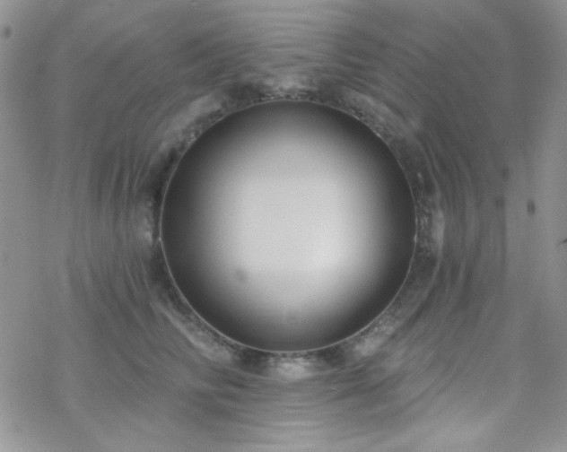 X0000070240710200606051125